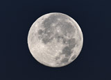 Mond
