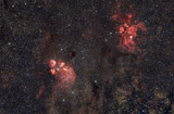 Katzenpfotennebel (NGC6334)